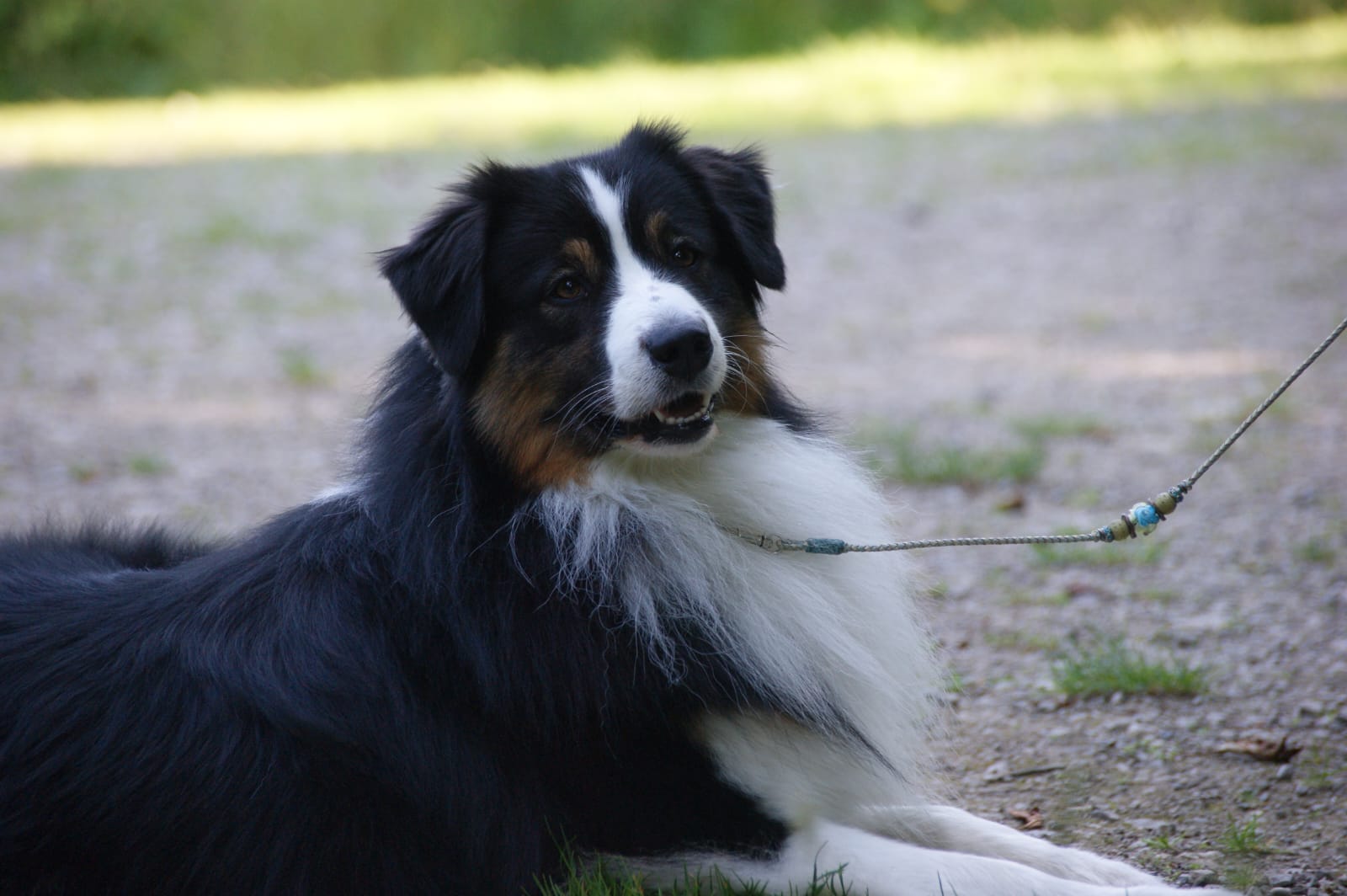 Loki2