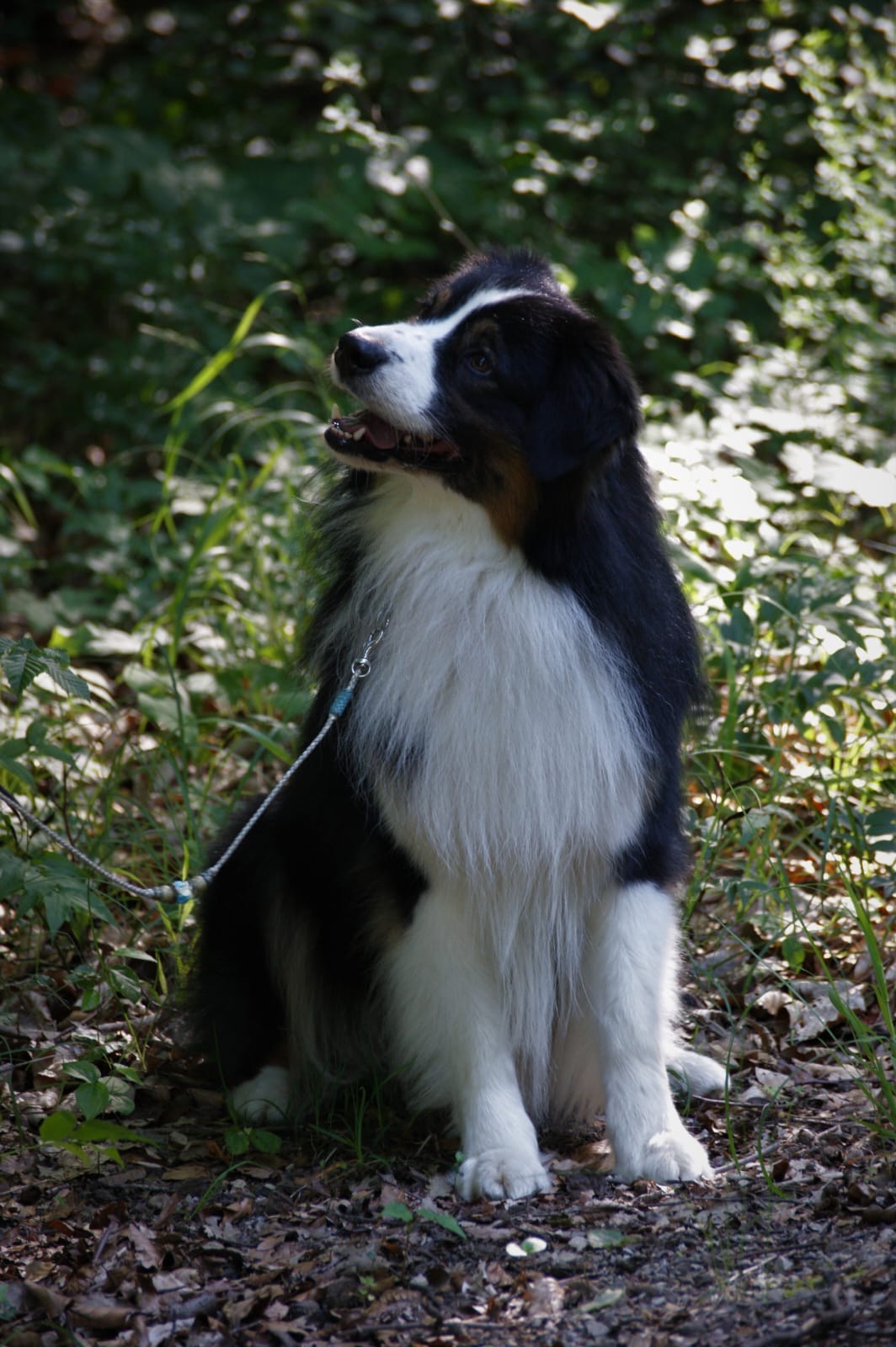 Loki3