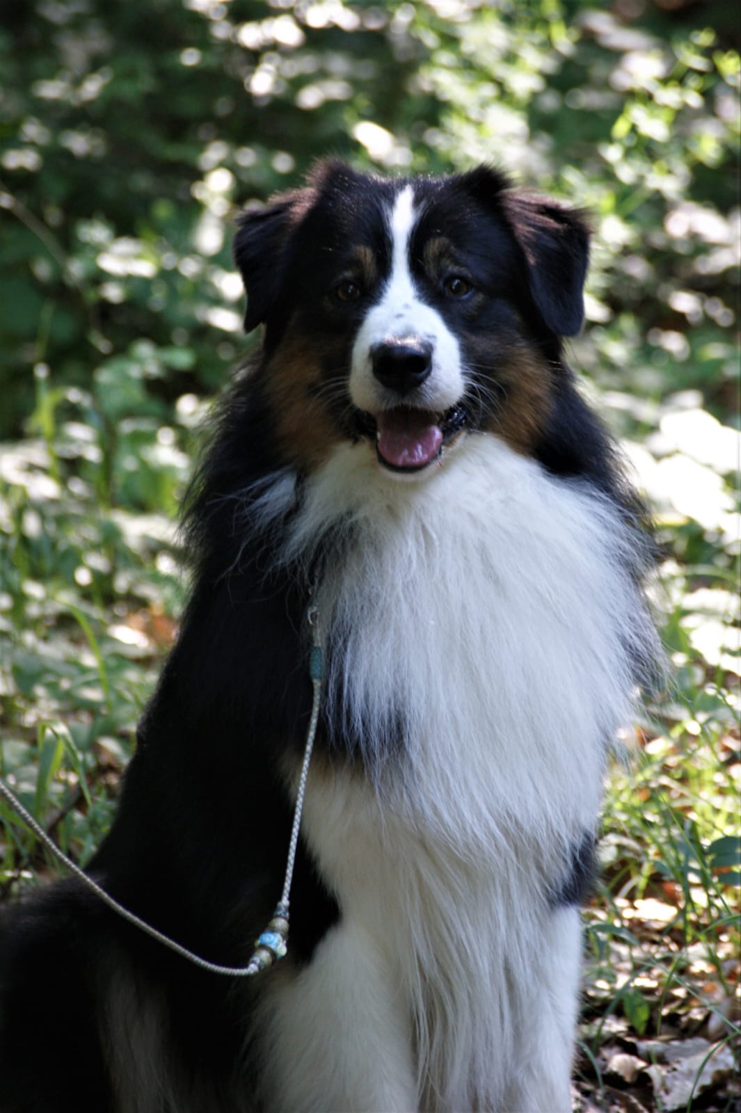 Loki4